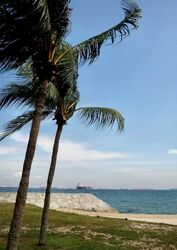 Meyer Road (D15), Condominium #434794851